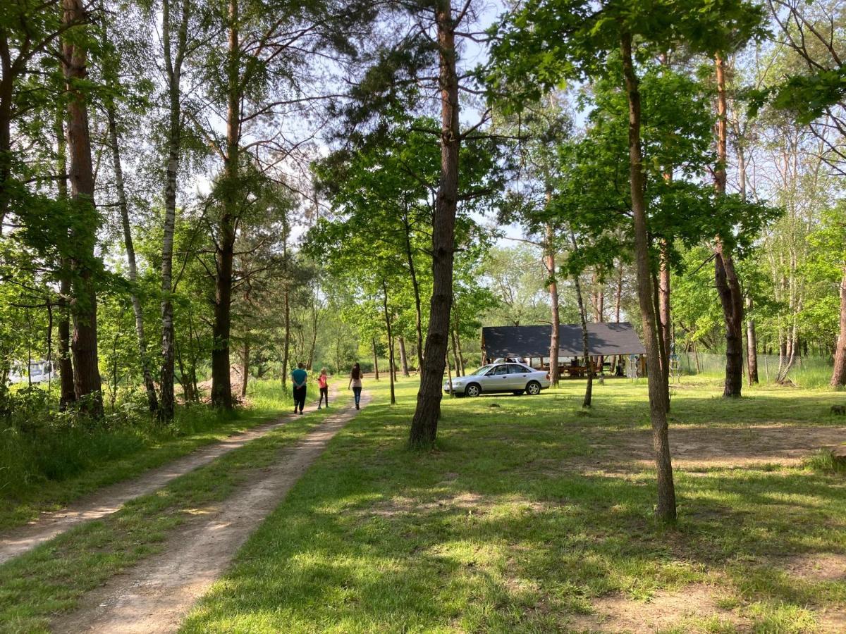 Hotel Lesne Zacisze-Pole Namiotowe Pisklaki Exterior foto